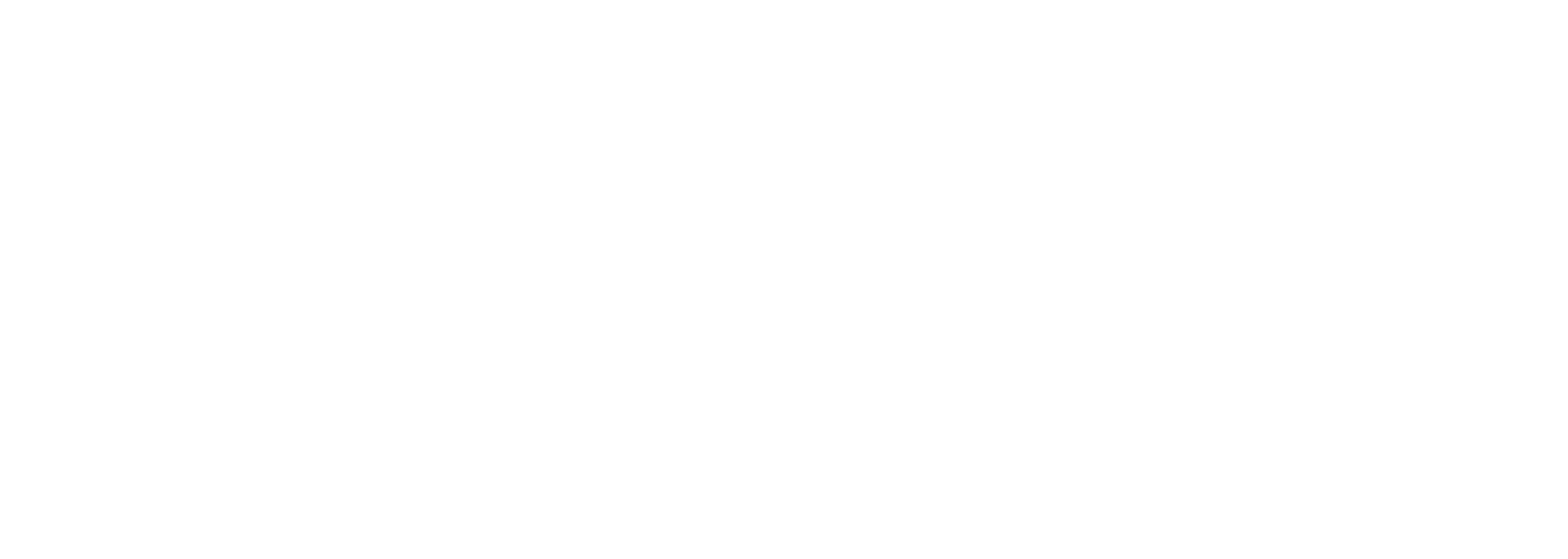 logo vtrina